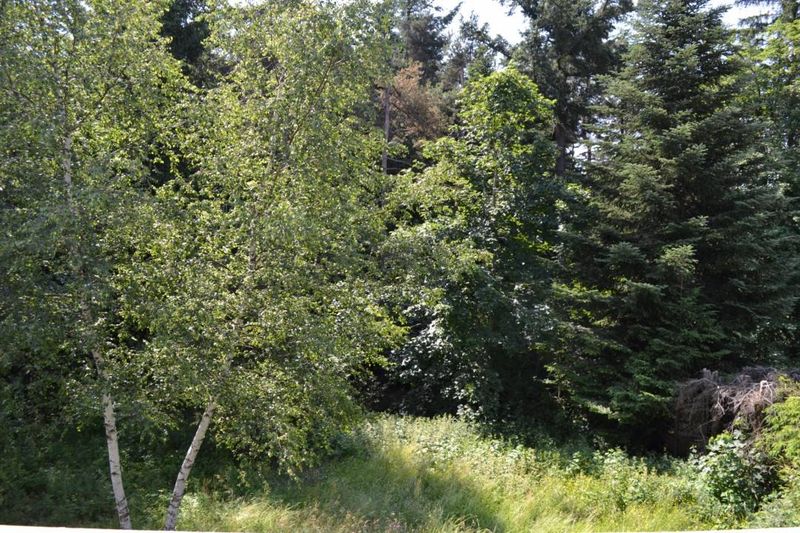 Villa avec jardin à vendre au Chambon sur Lignon