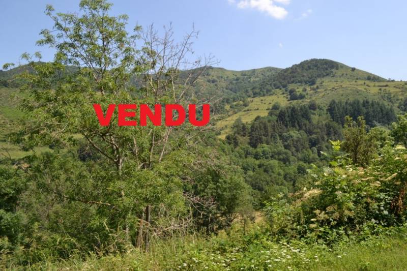 Ferme avec 9.3 hectares et vue panoramique