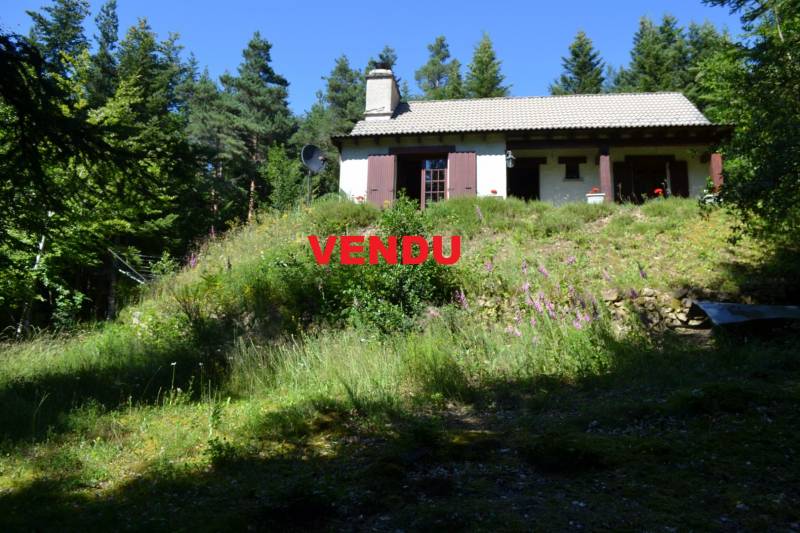 Maison sans vis-à-vis dans environnement boisé au Chambon sur Lignon
