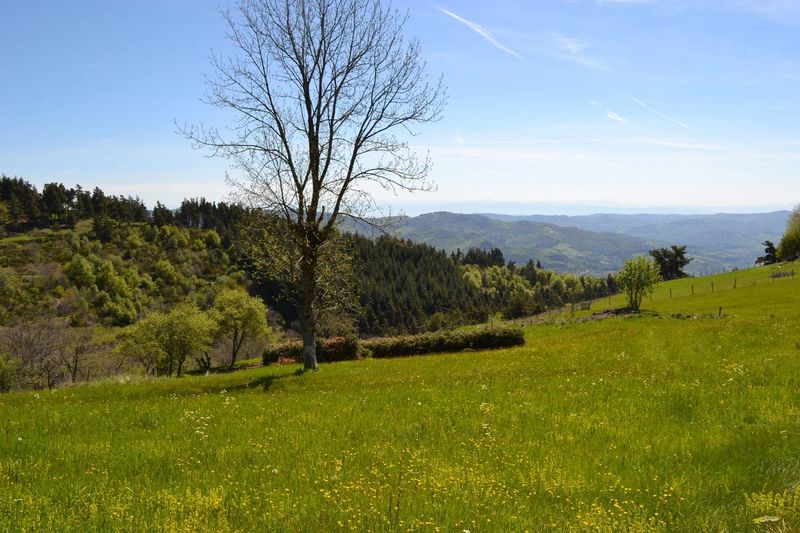 Ferme à vendre avec magnifique vue dégagée