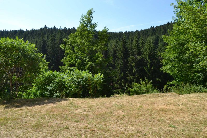 Ferme à rénover avec terrain