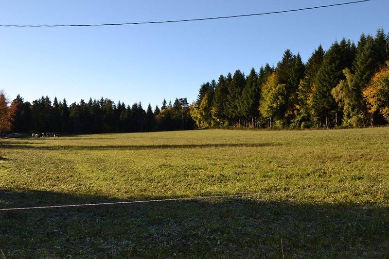 Terrain Agricole pour prêt de 10 hectares