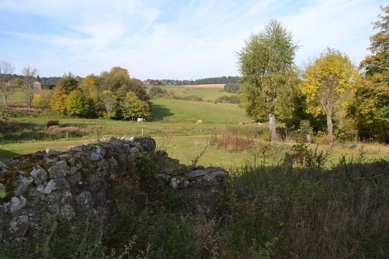 Ancienne ferme mitoyenne à rénover sur Tence.