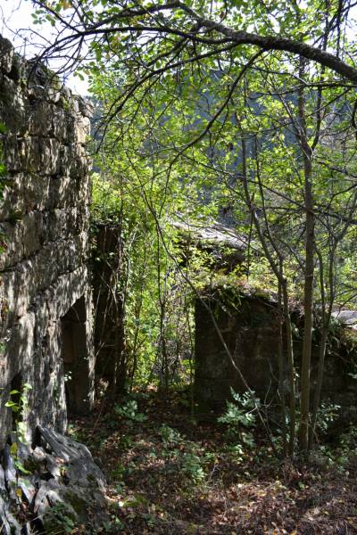 Agence Cévenole 07320