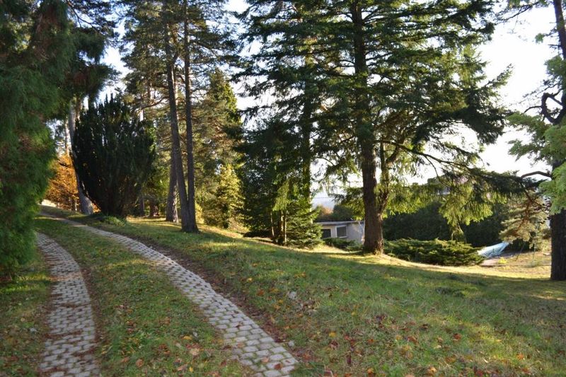 Maison à vendre avec piscine 43400