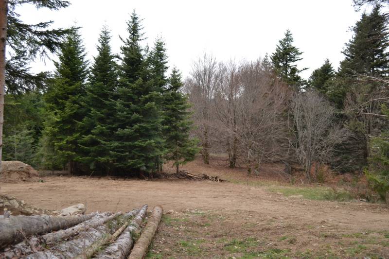 Terrain constructible à proximité du village du Chambon sur Lignon