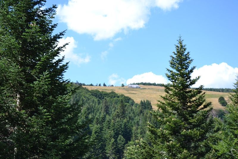 Ferme à rénover T4 Secteur Mézenc