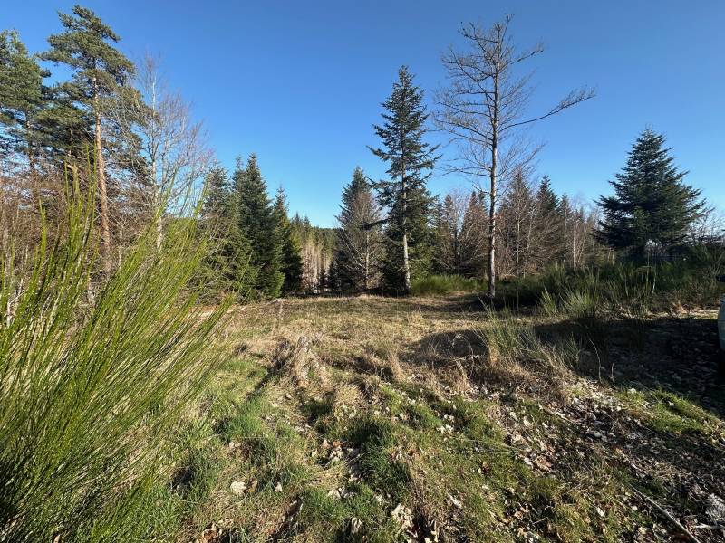 Terrain constructible à proximité du centre du Chambon sur Lignon