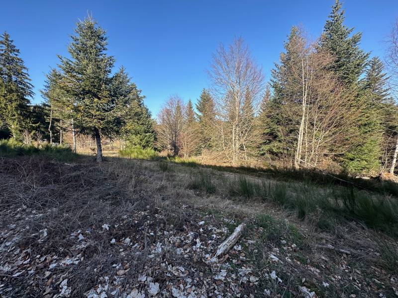 Terrain constructible à proximité du centre du Chambon sur Lignon