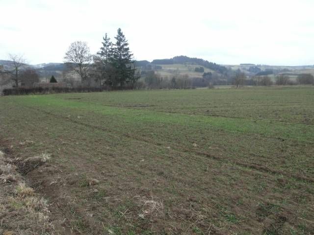 Terrain Campagne du Mazet Saint Voy Terrain constructible