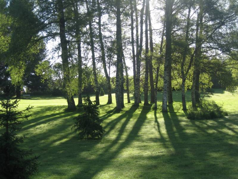 Propriété sur environ 2 hectares à 2 pas du Chambon sur Lignon