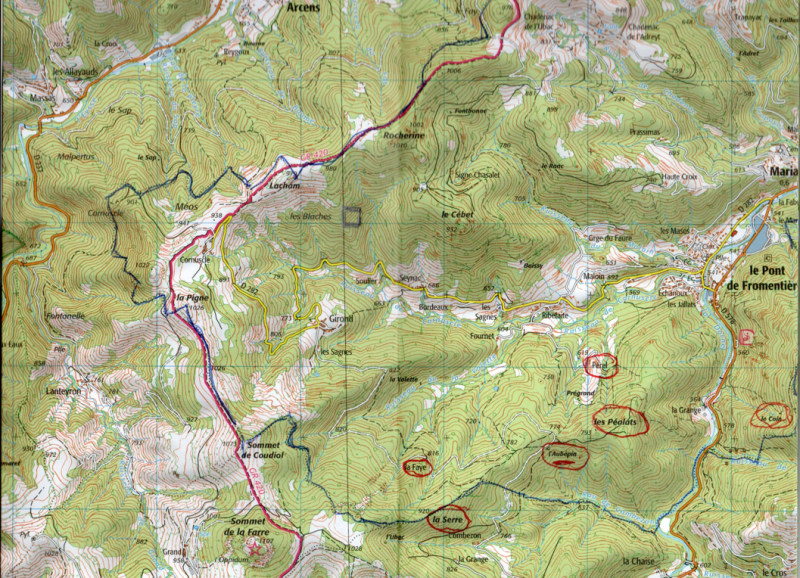 Foret Multi-essences sur la commune de MARIAC