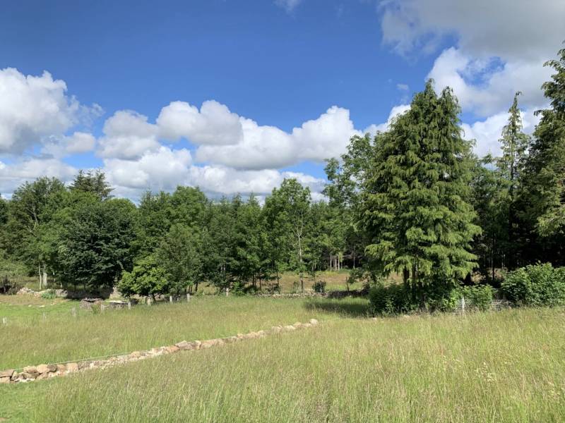 Agence Cevenole Immobilier 07320 Saint Agrève