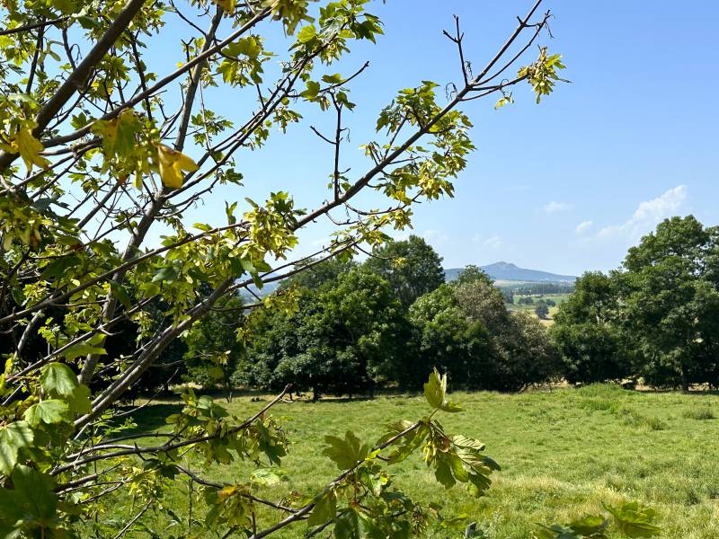 Ferme à rénover dans hameau sur 1 hectare à Mars