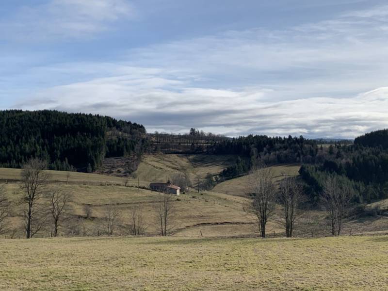 A vendre ferme avec belle vue 43