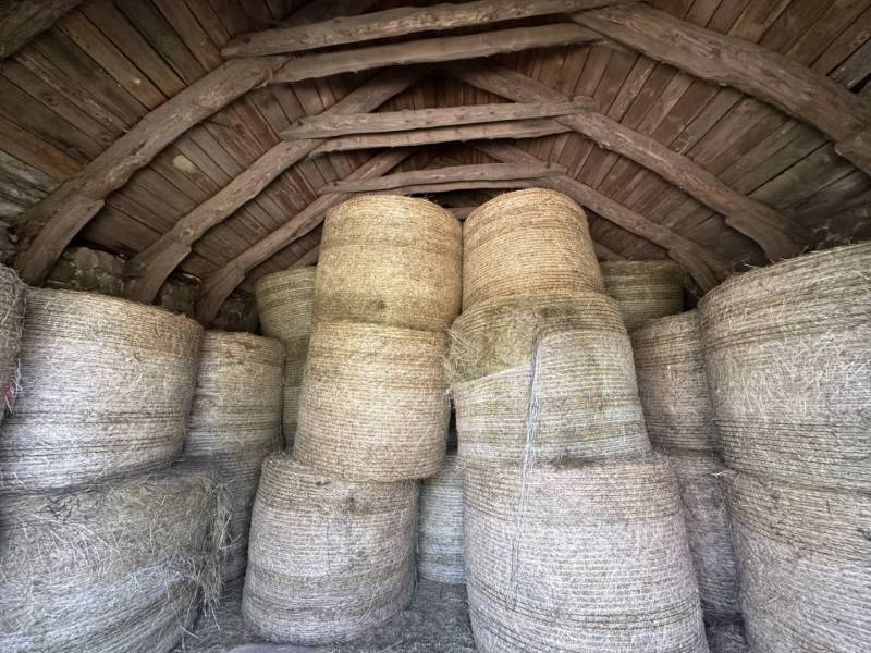 Ferme à rénover dans hameau sur 1 hectare à Mars