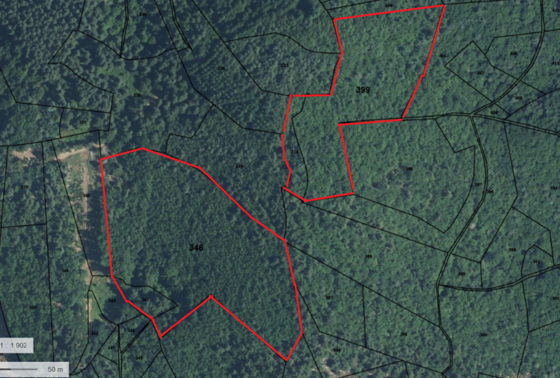 Foret Multi-essences sur la commune de MARIAC