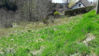 Terrain. Le Chambon sur Lignon, proche centre village. Expo sud. 1080m².