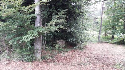 Terrain au Chambon sur Lignon