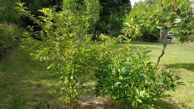Maison de village à Mars