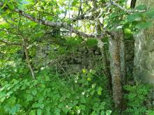 Ferme à rénover, secteur Tence