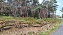 Terrain constructible à l'orée du village du Chambon