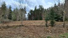 Terrain constructible proche du village