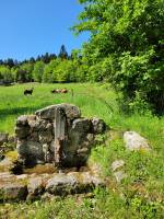 EXCEPTIONNEL ! Ferme avec plus de 13.5 hectares et étang proche du centre du village du Chambon sur Lignon
