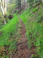 Parcelles de Bois et Foret Ardèche Verte