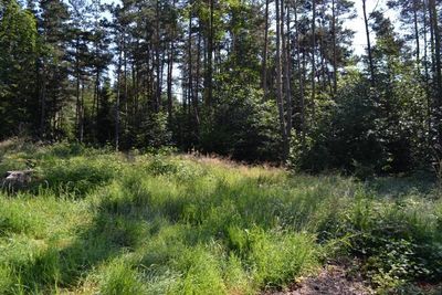 Terrain Le Chambon sur Lignon Quartier calme.  Orée du village.