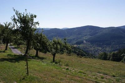 Ferme rénovée Les Nonières 14Ha de terrain. Isolé. Calme. Cachet.
