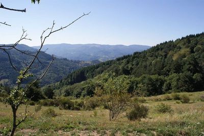 Ferme rénovée Les Nonières 14Ha de terrain. Isolé. Calme. Cachet.