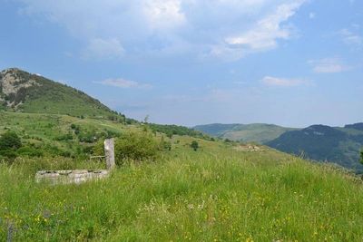 Ferme authentique du Mézenc, 1.4Ha de terrain, entièrement rénovée