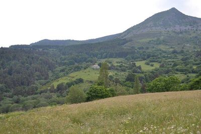 Ferme authentique du Mézenc, 1.4Ha de terrain, entièrement rénovée