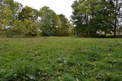 7000m² libre de fermage