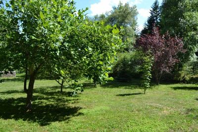 A vendre, ferme en pierre avec cachet à Champclause