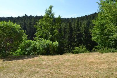 Ferme à rénover avec terrain