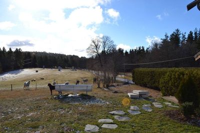 Petite maison louée meublée.