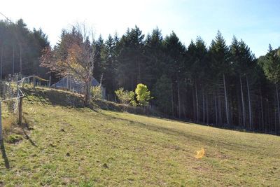 Secteur Mézenc Isolé. 4Ha de terrain. Vue. Cachet.