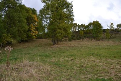 Ancienne ferme à rénover. 4000m² de terrain à Saint Front.