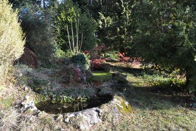 Maison bourgeoise proche du centre ville du Chambon sur Lignon