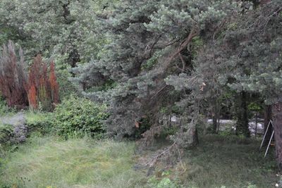 Maison 100 m² à rafraichir Intres