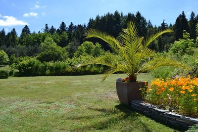 Villa spacieuse et lumineuse au Chambon sur Lignon