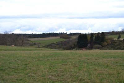 Ferme à rénover LES VASTRES 14 HECTARES DE TERRAIN  Ferme à rénover LES VASTRES 14 HECTARES DE TERRAIN