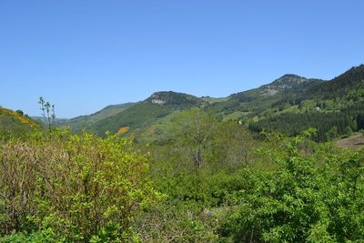 Borée En partie rénovée. Vue. Cachet. Environ 4Ha de terrain.