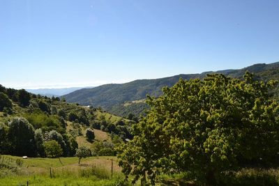 Maison de hameau  Campagne de St Agrève A rénover. Vue