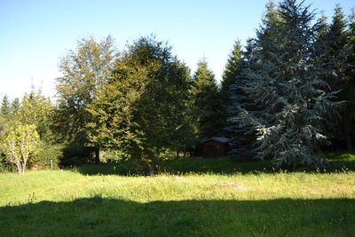 T5 Le Chambon Sur Lignon Ferme rénovée. 11Ha attenants. Cheminée. Charpente bateau