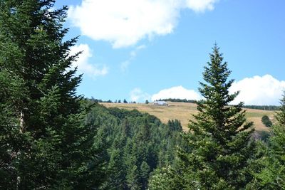 Ferme à rénover T4 Secteur Mézenc