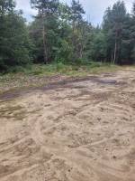 Foret Multi-essences sur la commune de MARIAC