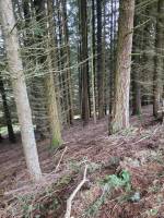 Terrain agricole et parcelles de bois
